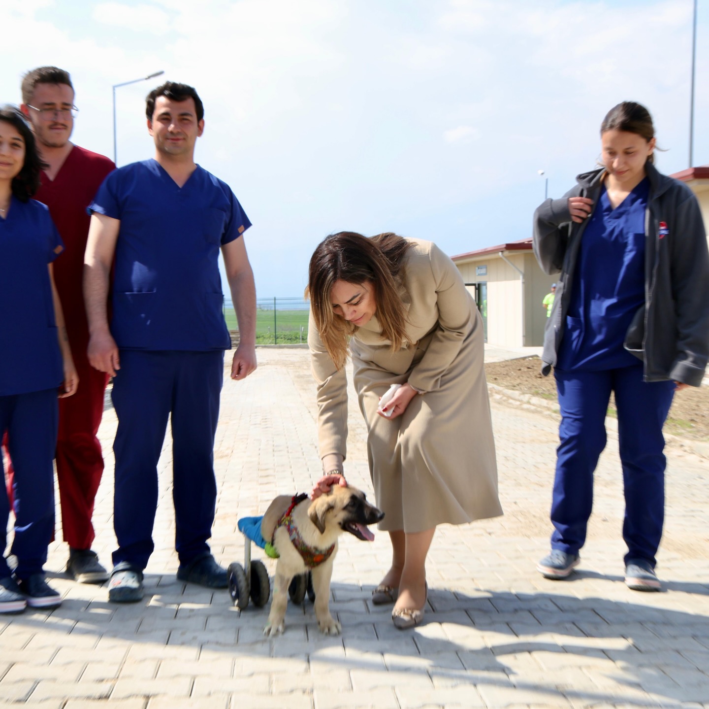 TEKİRDAĞ’DA CAN DOSTLARI İÇİN DEV YATIRIM