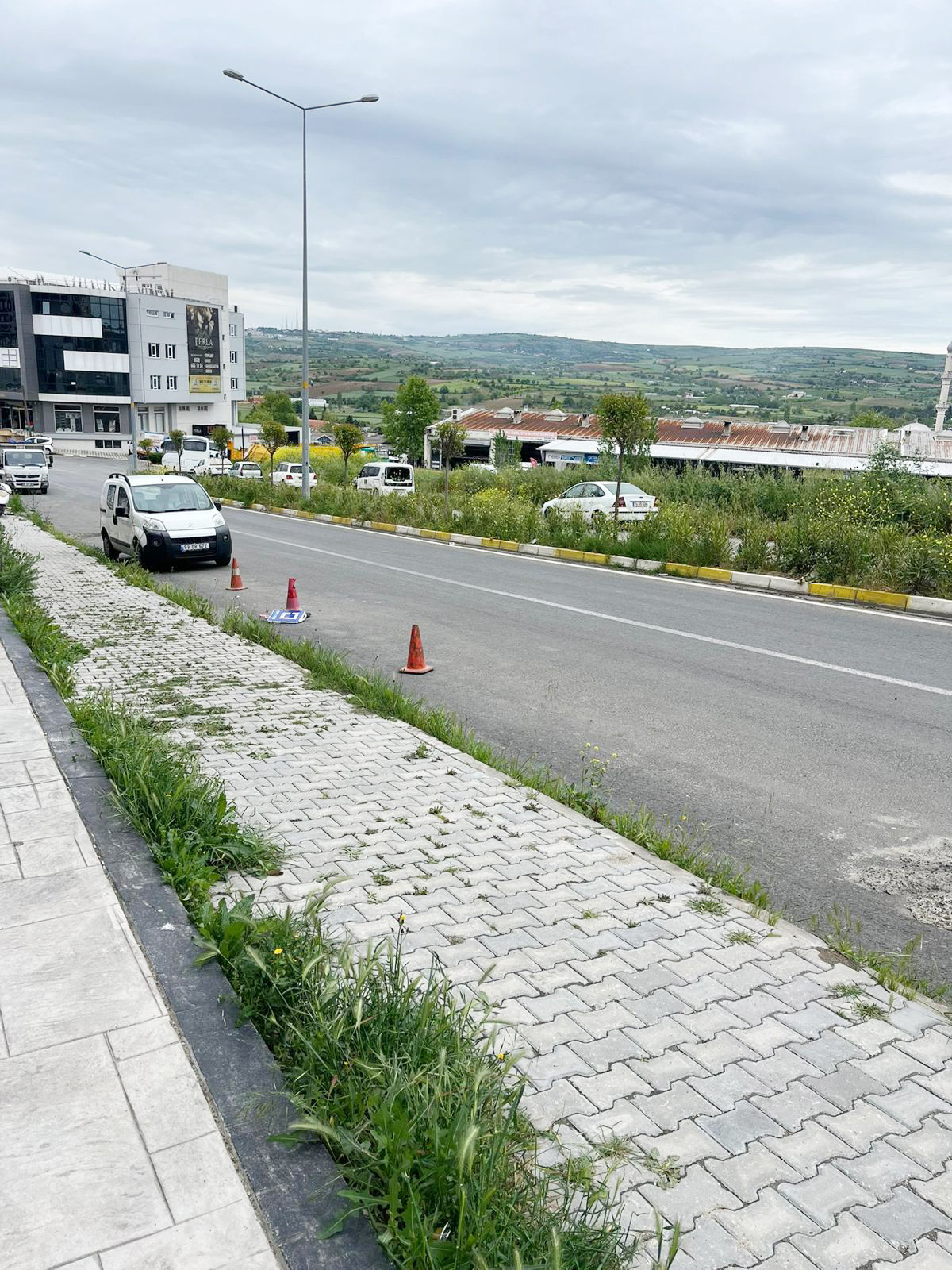 Otlar bir metreyi geçti