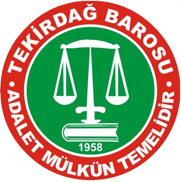  ‘Siyasi partilerin iradesi yargısal müdahalelerle yok sayılamaz’