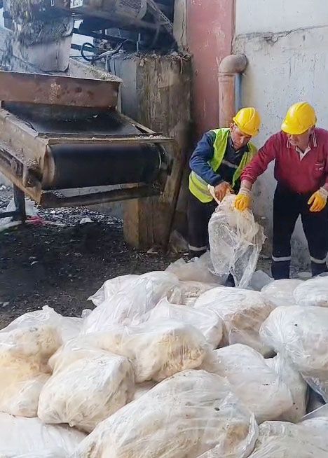 1200 kilogram sağlıksız sakatat imha edildi