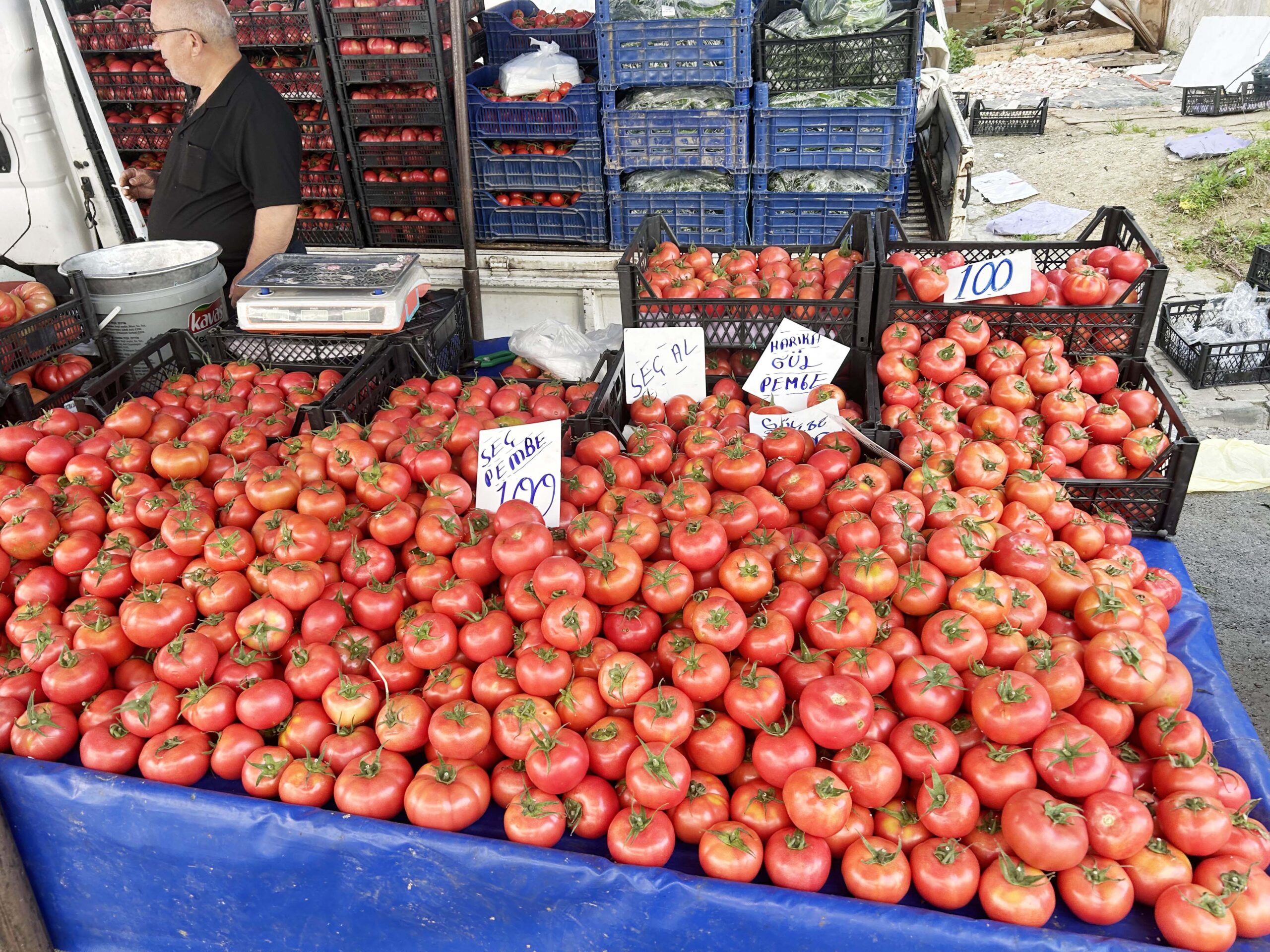 Domateste fiyat düşmedi