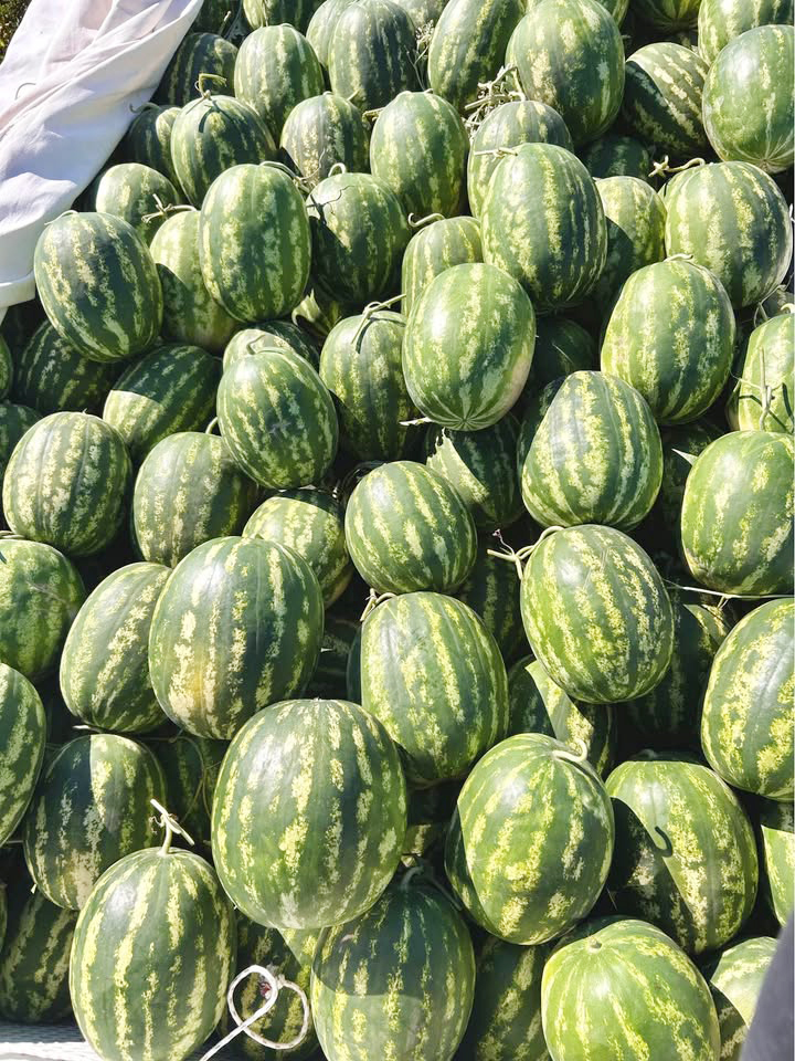 Çiftçiye destek için yeni akım