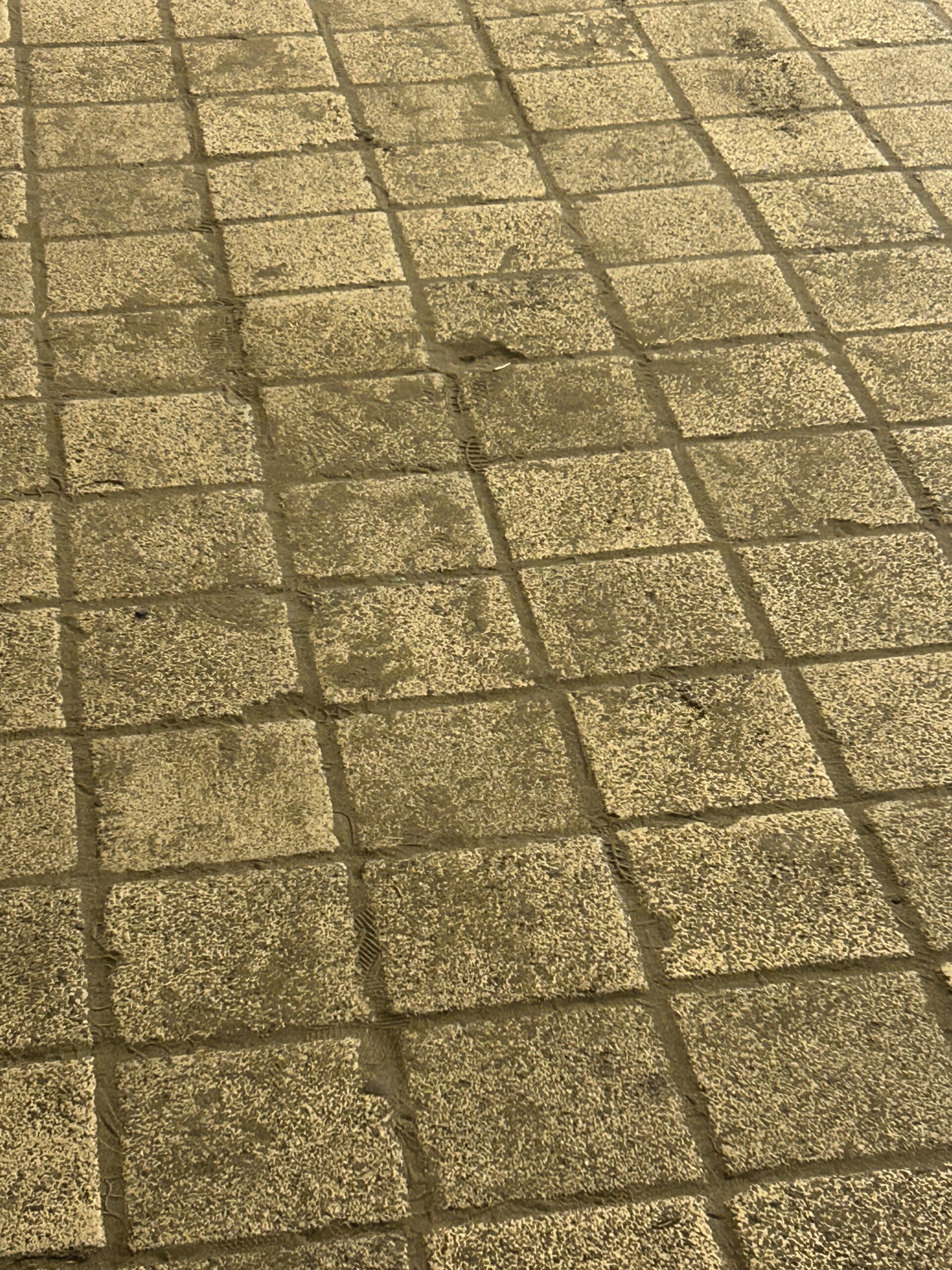 Sokaklar Kaderine Terk Edildi