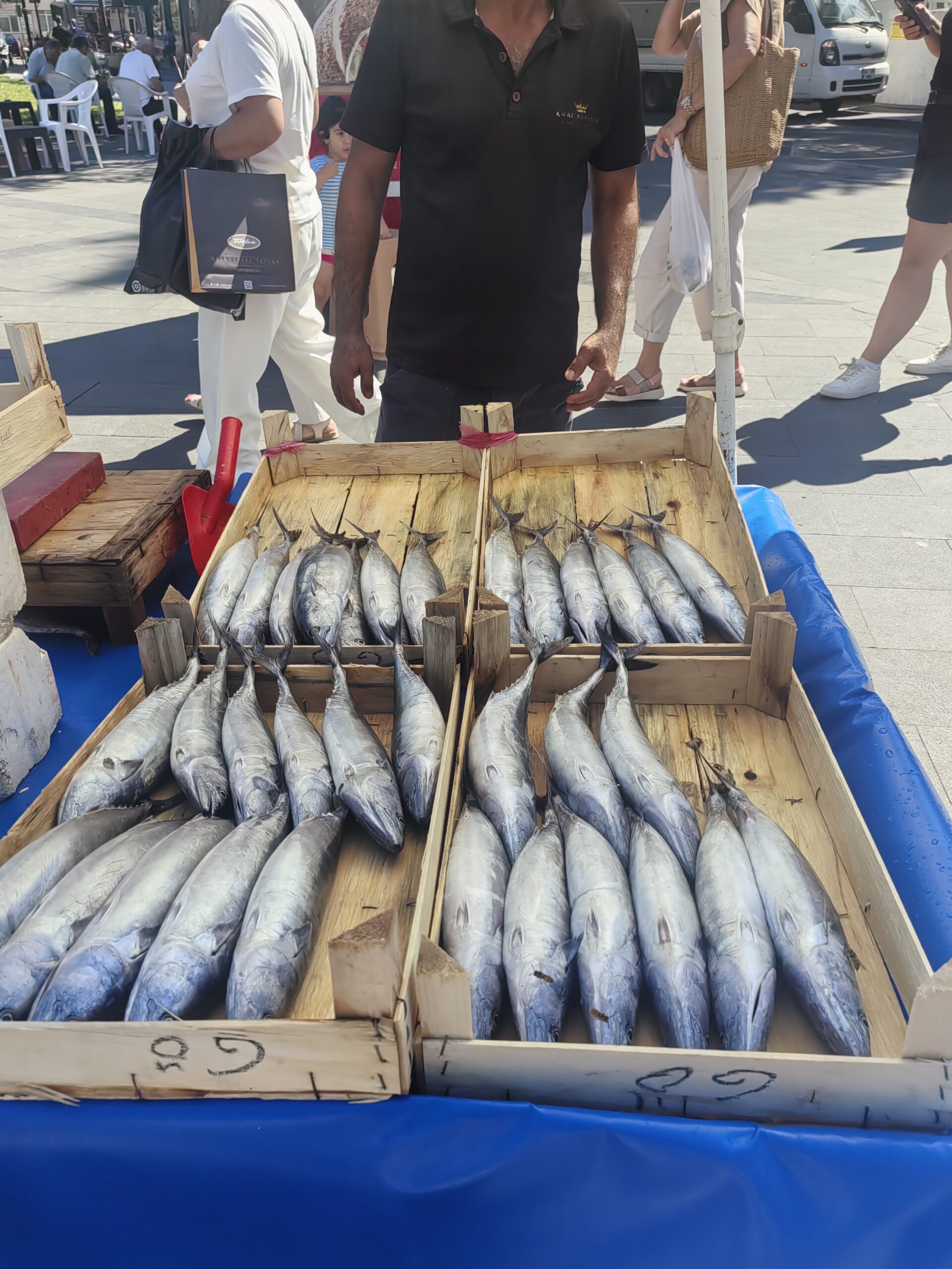 Palamut tezgâhlardaki yerini aldı