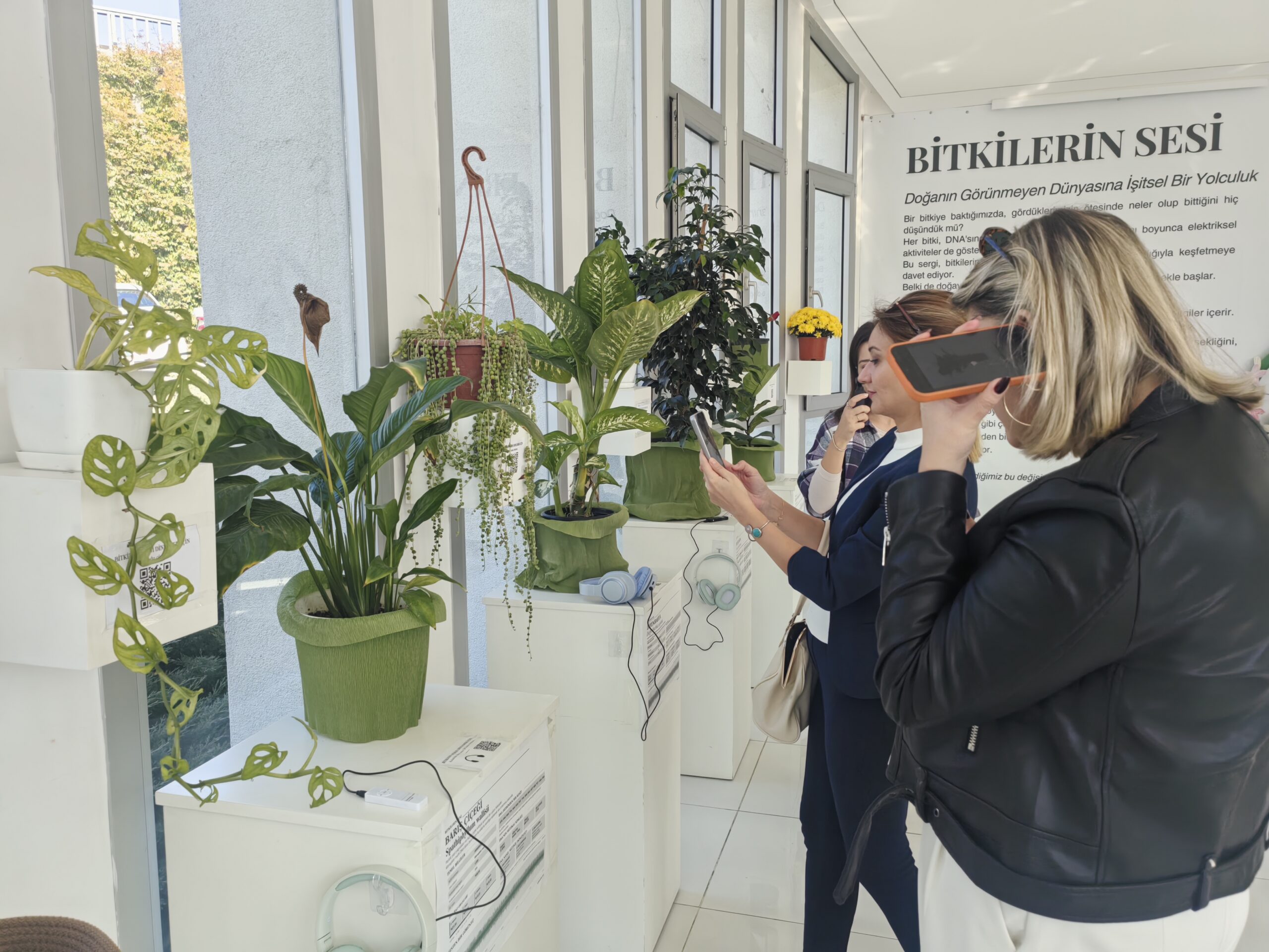 ‘Bitkilerin Sesi’ sergisine yoğun ilgi