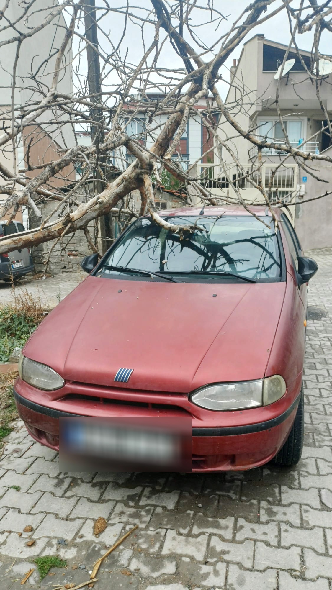 Ağaç Park Halindeki Aracın Üzerine Düştü